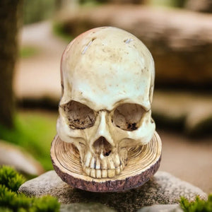 Skull Knife Holder