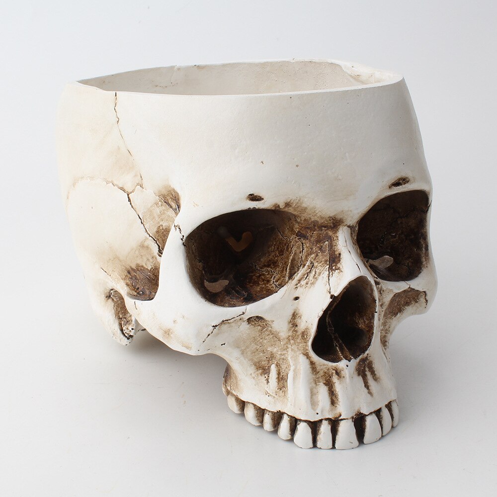 Skull Head Flower Pot