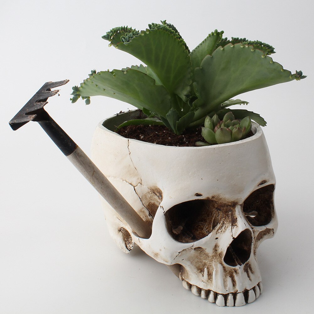 Skull Head Flower Pot