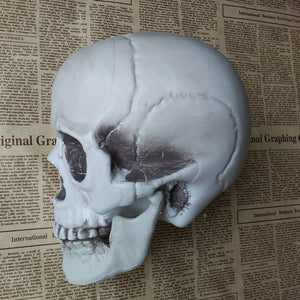 Skeleton Head Ornament