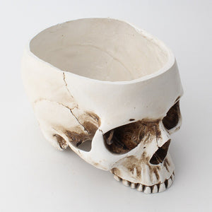 Skull Head Flower Pot