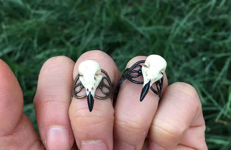 Bird Skull Ring