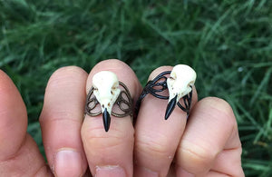 Bird Skull Ring