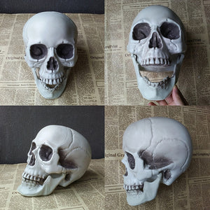 Skeleton Head Ornament