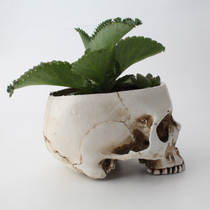 Skull Head Flower Pot