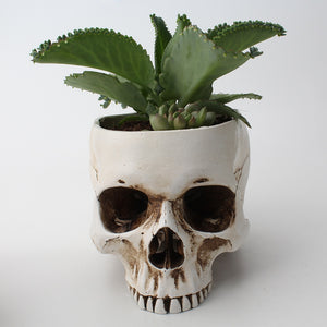 Skull Head Flower Pot