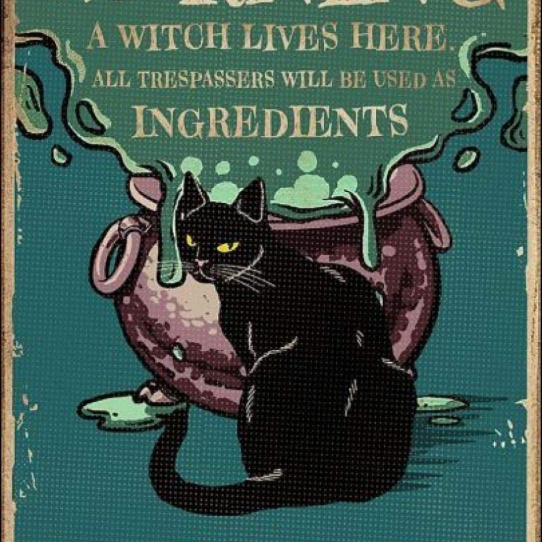 "Warning A Witch Lives Here All Trespassers Will Be Used As Ingredients in The Brew" Poster