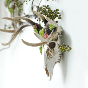 Animal Skull Head Wall Decor